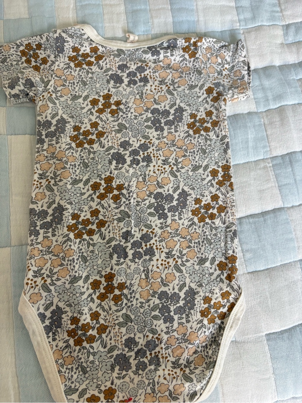Quincy Mae Floral Bodysuit in Cream, Mustard & Gray